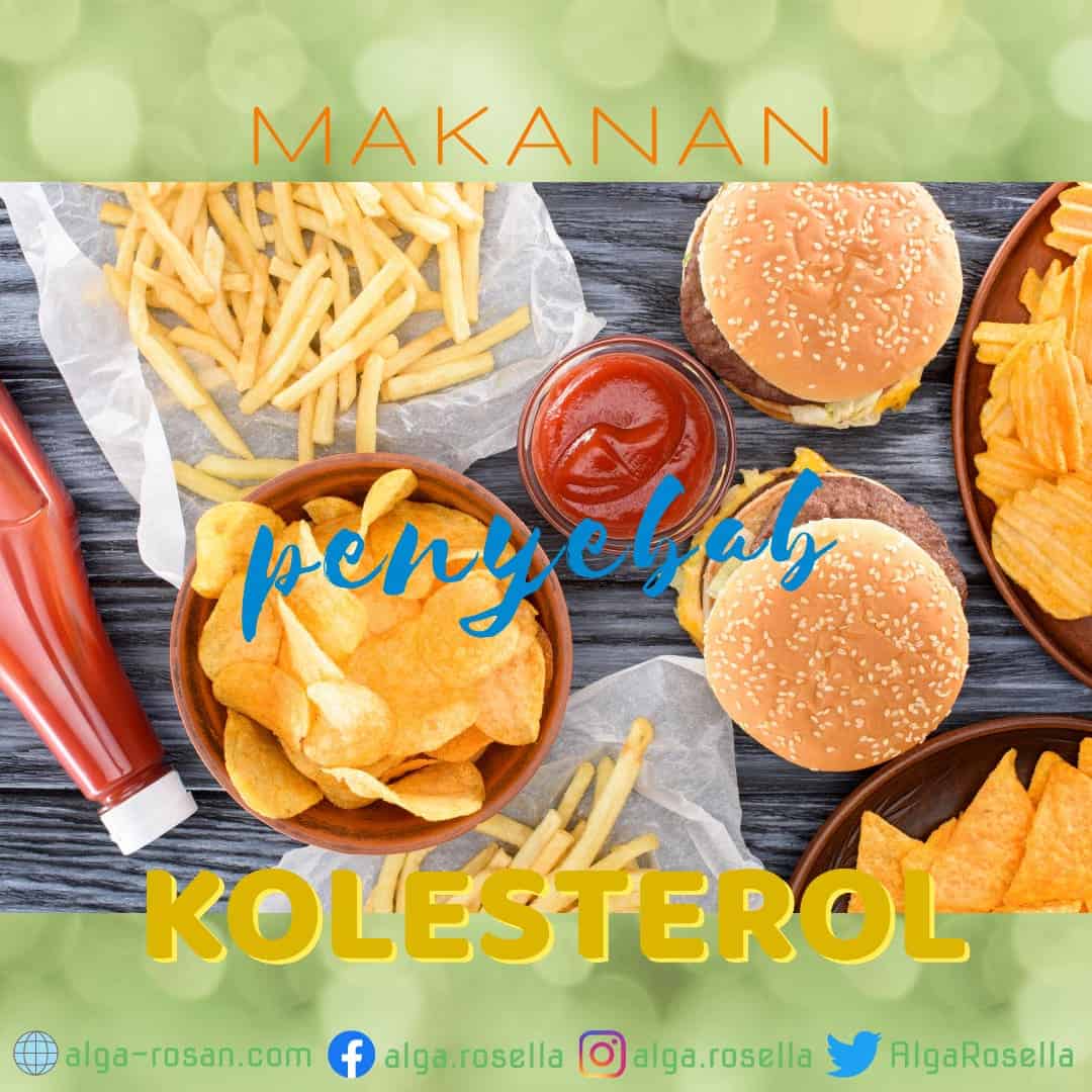 makanan-kolesterol