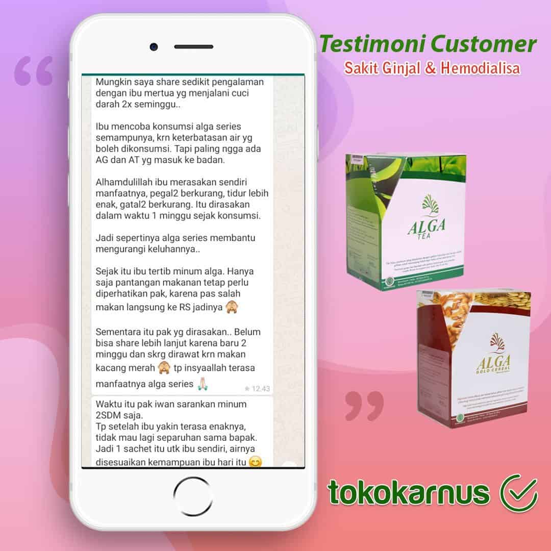 testi-ginjal