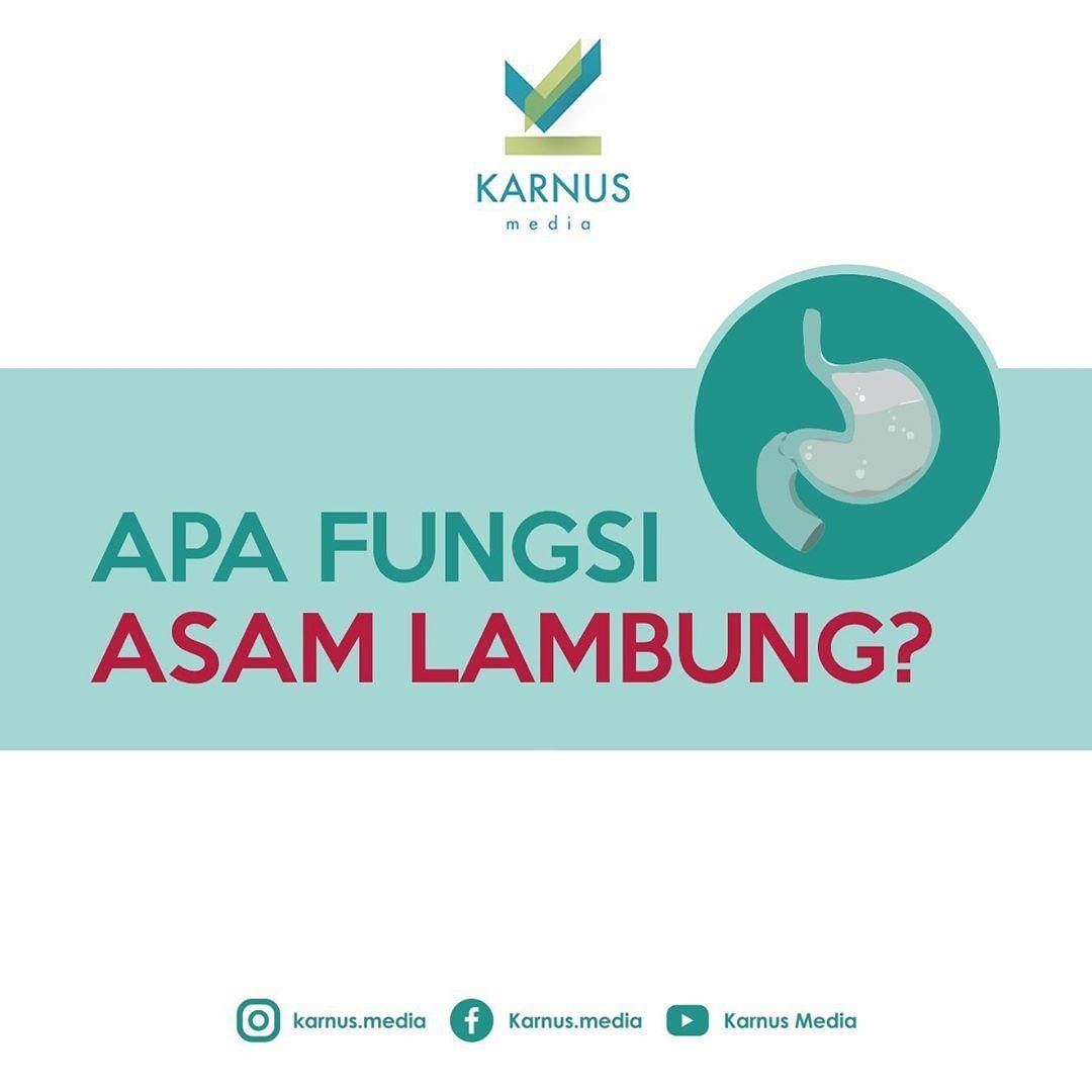 zz_fungsi-asam-lambung